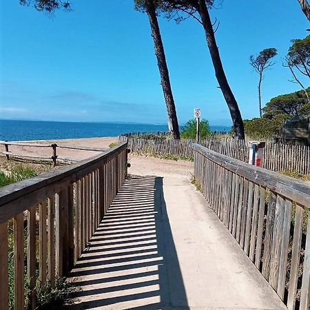 Le Jardin De La Plage - Linges Inclus Ла-Лонд-ле-Мор Экстерьер фото
